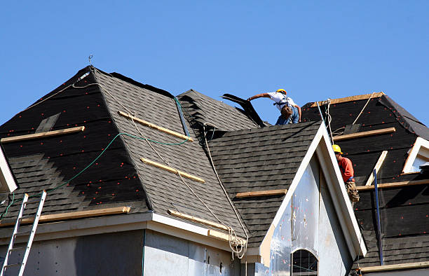 Best Roof Gutter Cleaning  in Oak Grove, LA